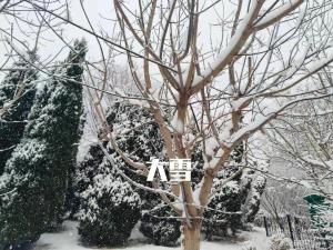 “小雪腌菜，大雪腌肉”~ 大雪节气开始准备过年的食材